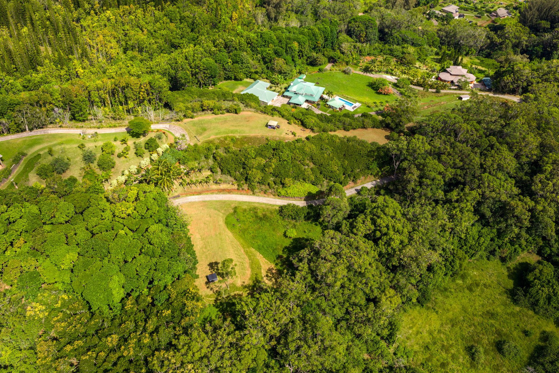 Aerial showing the access road and neighboring estates