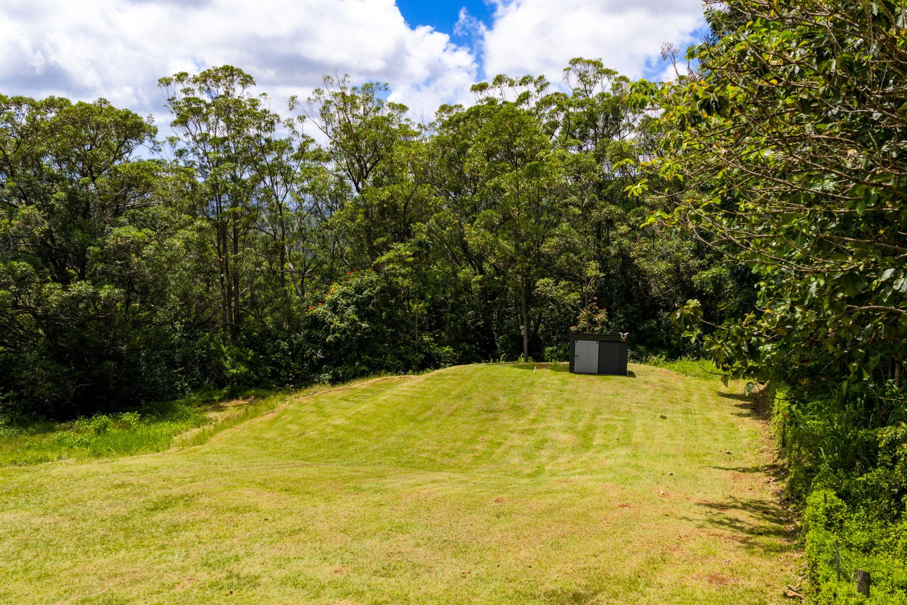 Graded lawn building site on the parcel